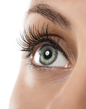 Rehaussement des cils